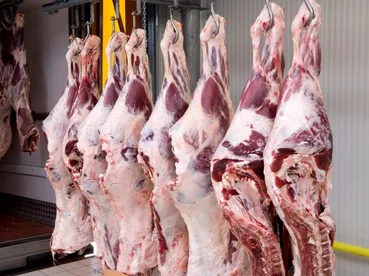 Etimesgut Kuzu Kesim Hizmeti